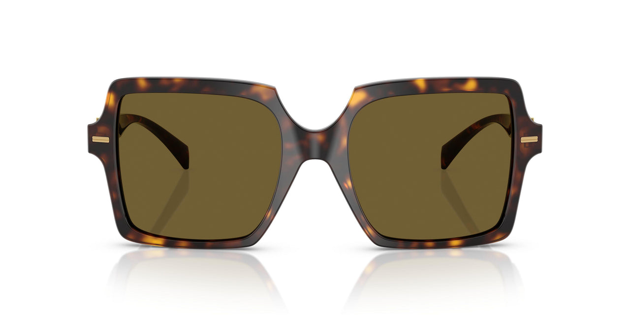 108/73 - Tortoise - Dark Brown