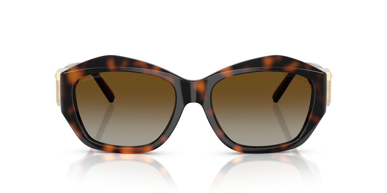 8015T5 - Tortoise - Polar Brown Gradient