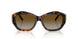 8015T5 - Tortoise - Polar Brown Gradient