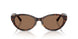 500273 - Tortoise - Dark Brown