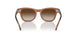 712713 - Brown - Brown Gradient