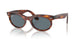954/3R - Brown - Dark Blue
