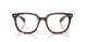 2012 - Tortoise