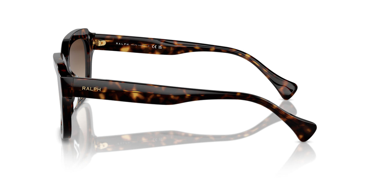 500313 - Brown - Gradient Brown