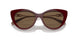 51461W - Brown - Clear