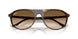 902/51 - Tortoise - Clear Gradient Brown