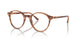 8359 - Tortoise - Clear