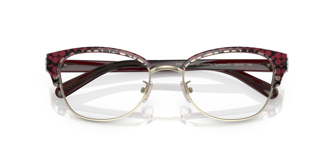 5709 - Purple/reddish