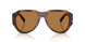 306373 - Tortoise - Bronze