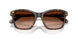 100274 - Tortoise - Gradient Brown