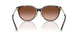 80153B - Tortoise - Brown Gradient