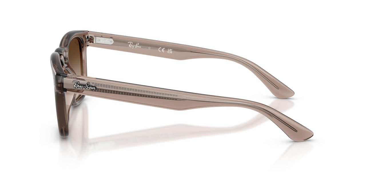 682713 - Brown - Light Brown Gradient Dark Brow