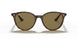 710/73 - Havana - Dark Brown