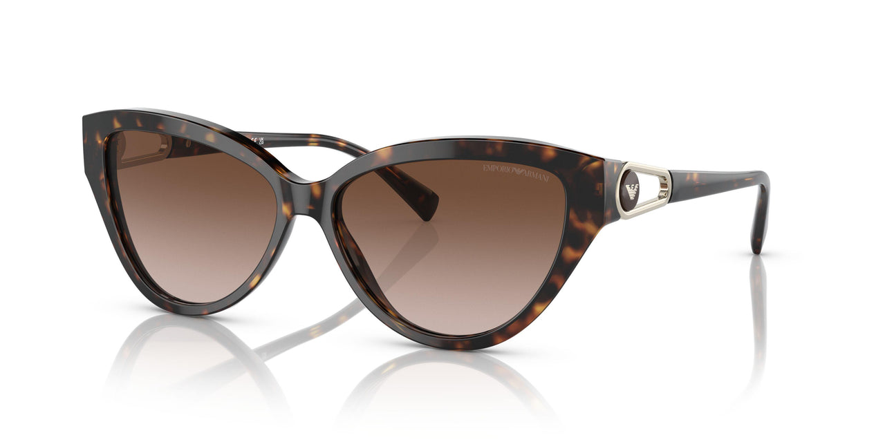 502613 - Havana - Gradient Brown
