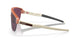 924813 - Brown - Prizm Black
