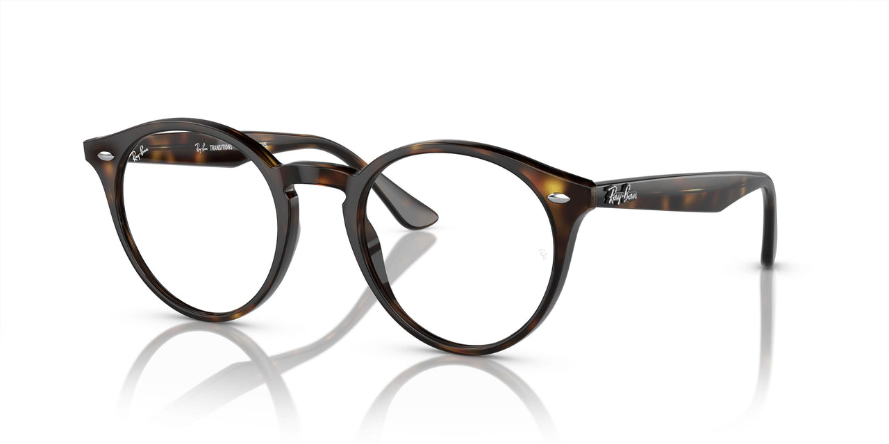 710/M1 - Havana - Photo Clear To Grey/green Quar
