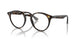 710/M1 - Havana - Photo Clear To Grey/green Quar