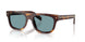 15W04D - Tortoise - Green Polar