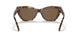 502573 - Havana - Brown