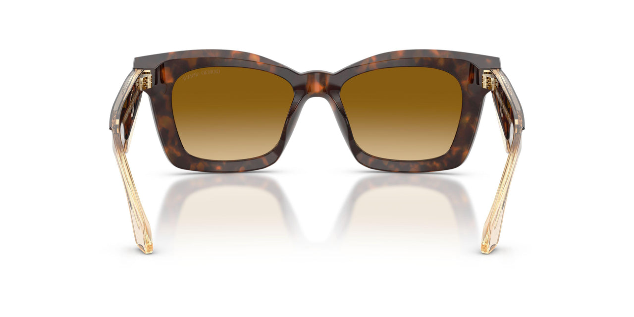 62312L - Tortoise - Yellow Gradient Light Brown