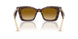 62312L - Tortoise - Yellow Gradient Light Brown