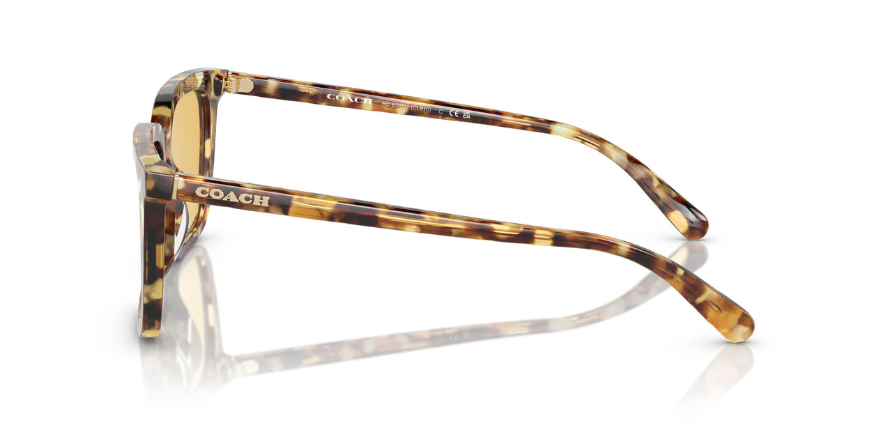504585 - Tortoise - Amber Solid