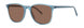 Paradigm Arden Sun Sunglasses