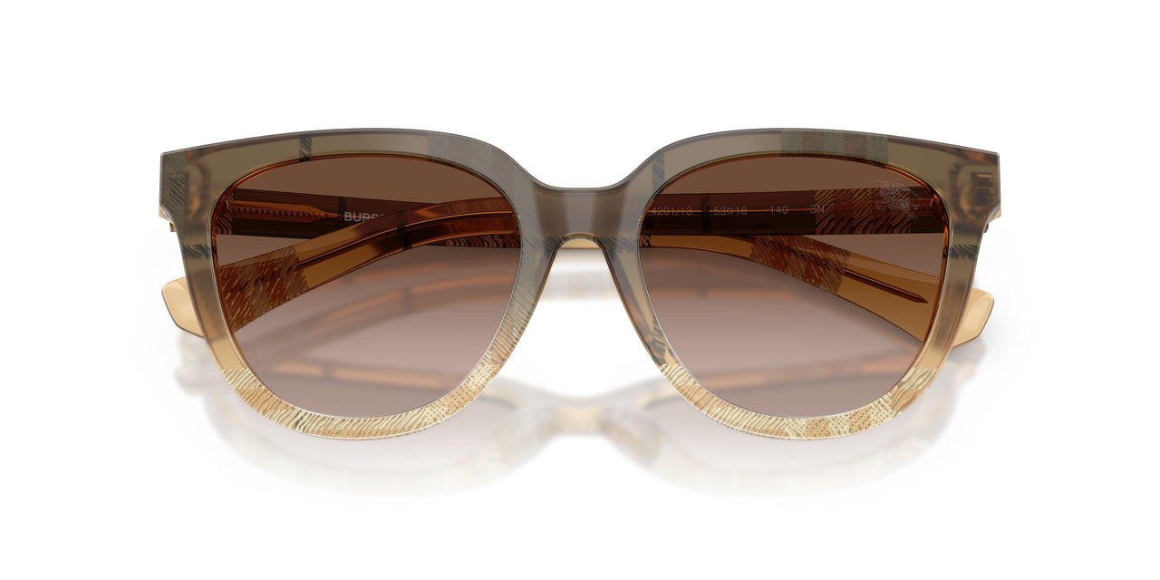 420113 - Brown - Brown Gradient