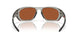 943107 - Grey - Prizm Shallow Water Polarized