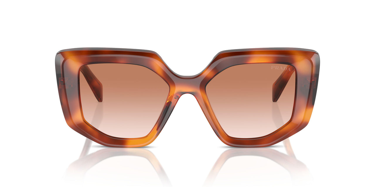 18R70E - Brown - Brown Gradient