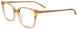 10 - Marbled Brown & Crystal Brown/Satin Gold