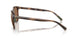 597473 - Tortoise - Dark Brown