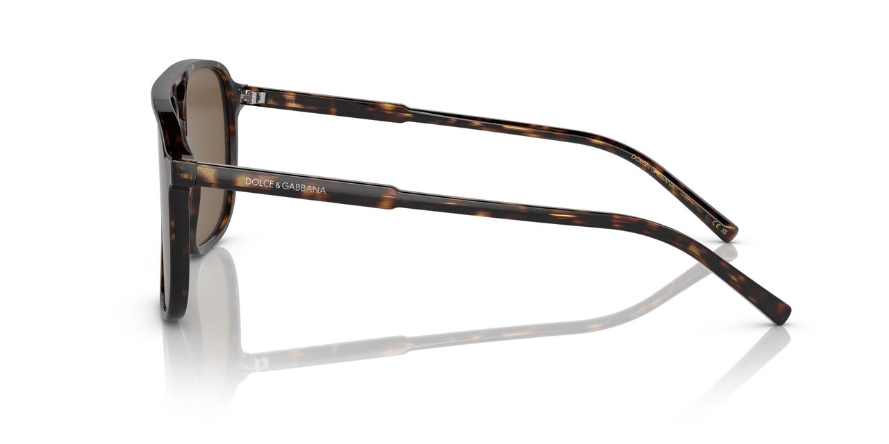 502/73 - Havana - Dark Brown