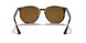 710/83 - Havana - Polar Brown