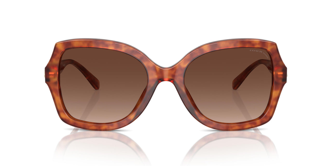 5774T5 - Tortoise - Brown Gradient Polarized