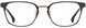 STATE Optical Co. BREWSTER Eyeglasses