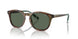 501771 - Tortoise - Bottle Green