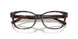 8015 - Tortoise