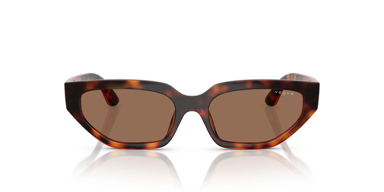 W65673 - Brown - Dark Brown