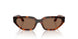 W65673 - Brown - Dark Brown
