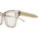 007 - Brown - Transparent
