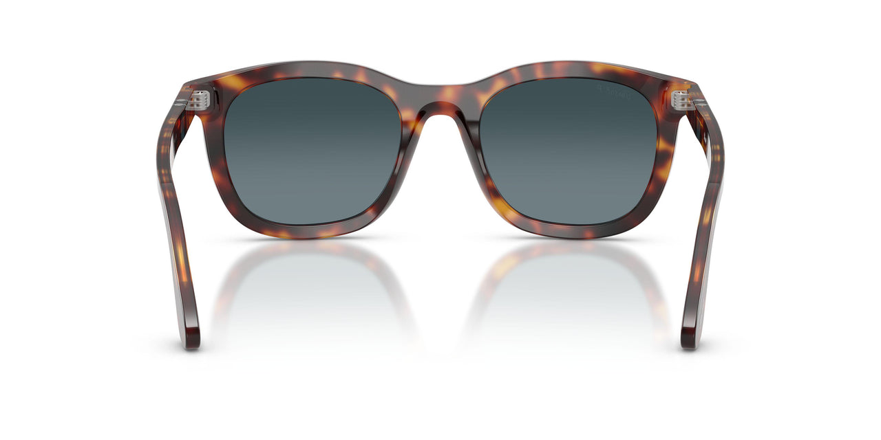 24/S3 - Tortoise - Light Blue Gradient Dark Blue