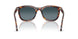 24/S3 - Tortoise - Light Blue Gradient Dark Blue