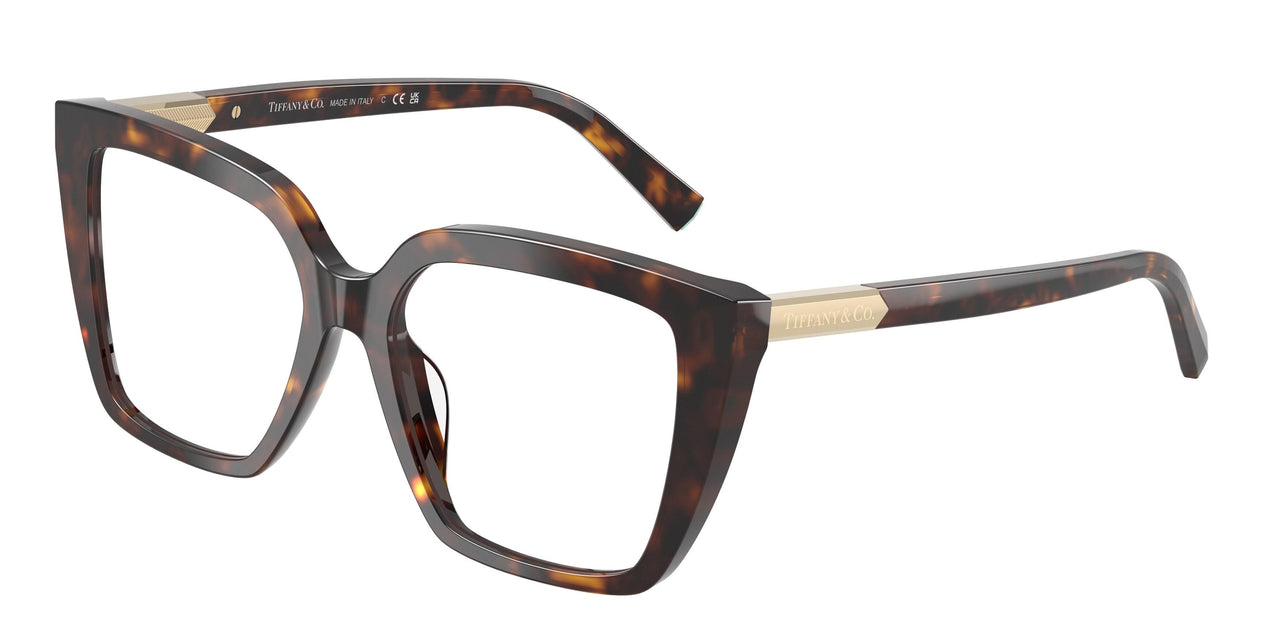 8015 - Tortoise
