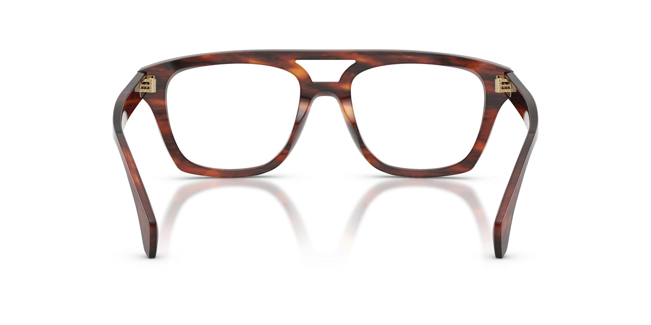 3034 - Tortoise