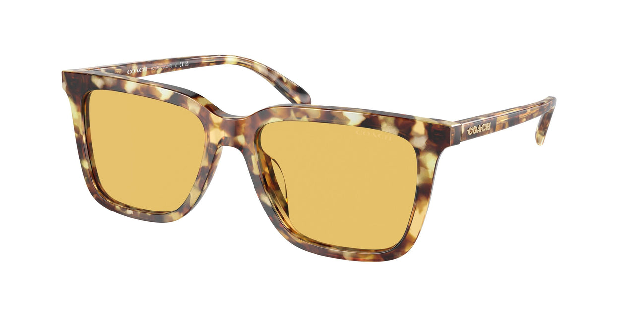 504585 - Tortoise - Amber Solid