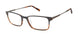 Ted Baker TFM009 Eyeglasses