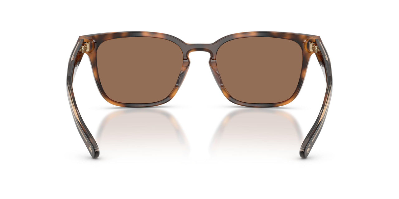 616173 - Tortoise - Solid Brown