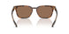 616173 - Tortoise - Solid Brown