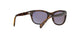 710/T5 - Light havana - Brown Polarized